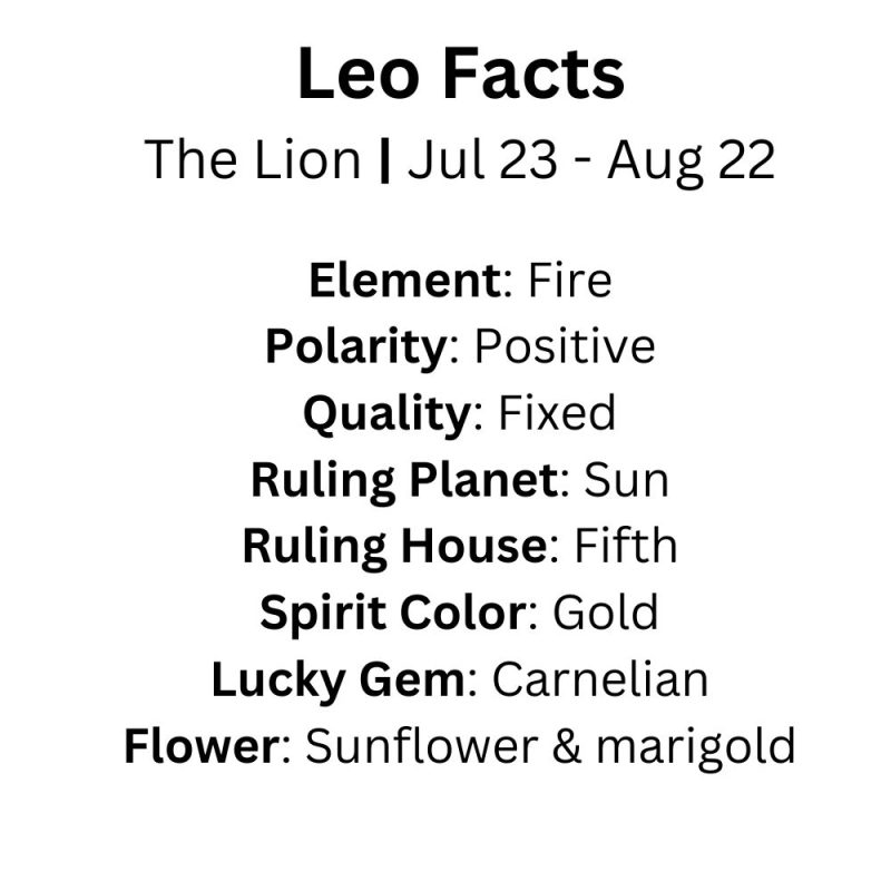 Leo - Image 10