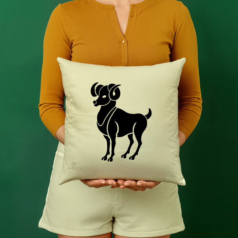 Aries - Image 6