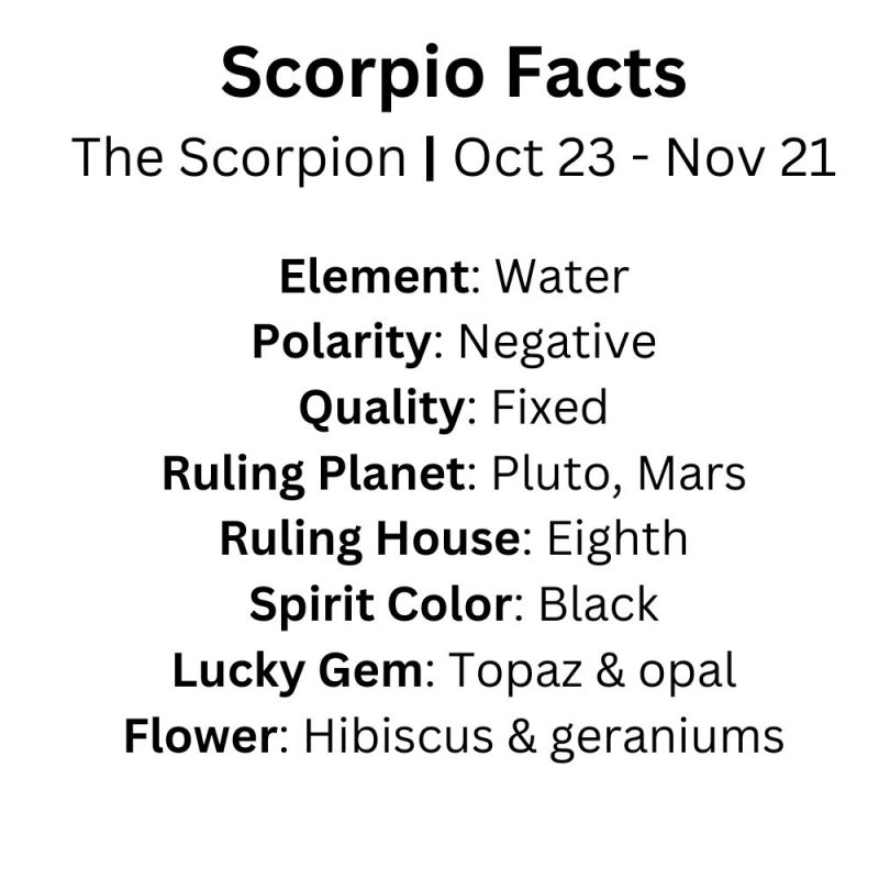 Scorpio - Image 9